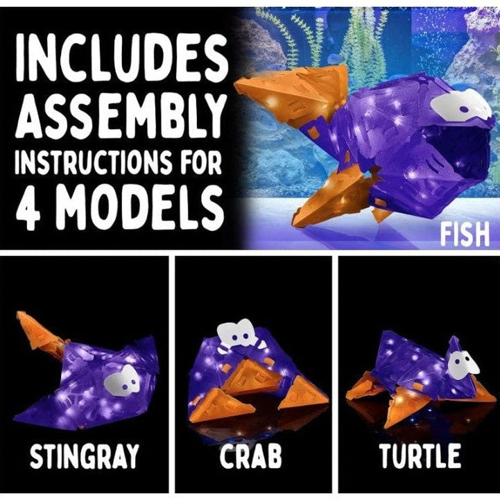 Product image with the text "Includes assembly instructions for 4 models" featuring four different brightly lit models of sea animals made of purple and orange plastic pieces: fish, stingray, crab, and turtle.