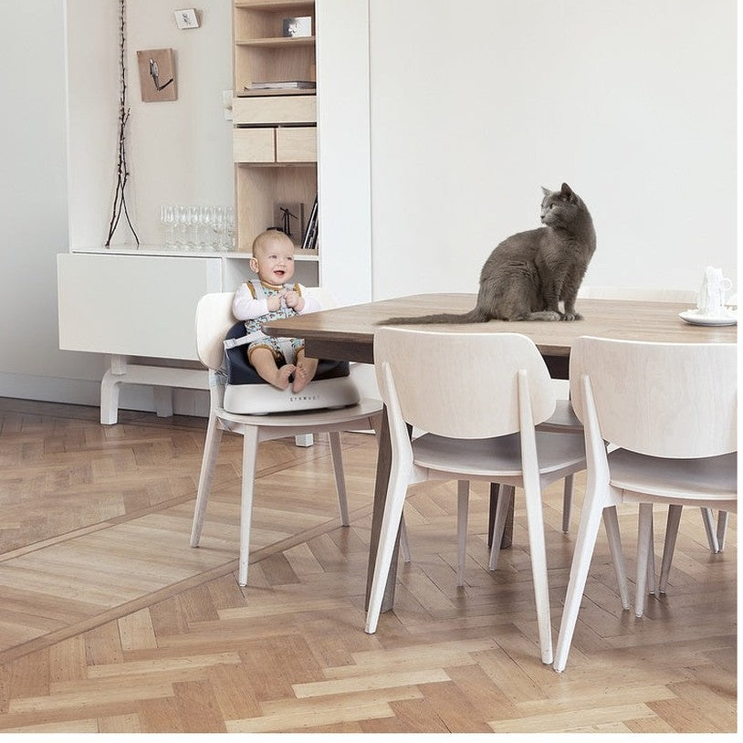 A baby sits in a booster seat at a table next to a gray cat.