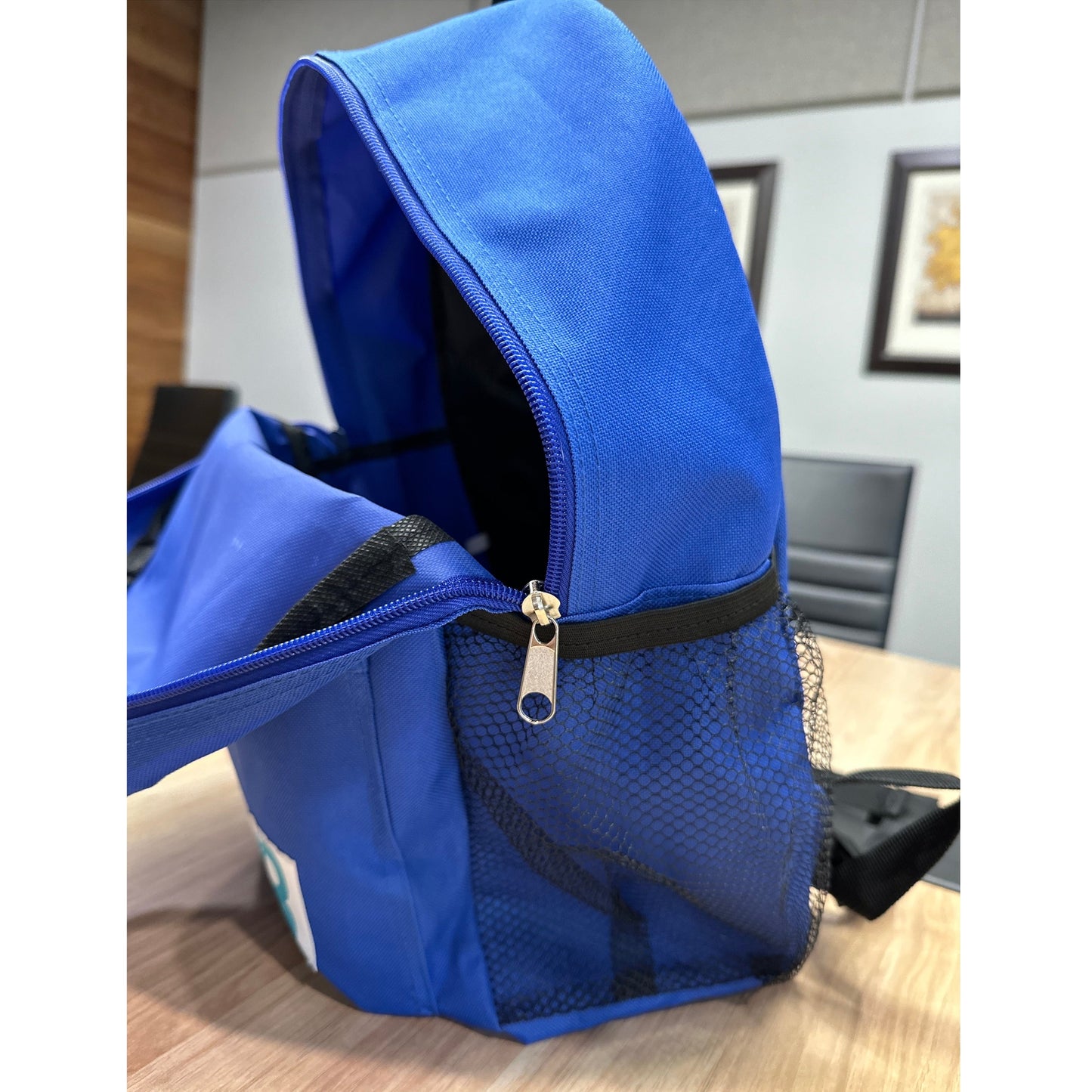 17 IN STURDY SCHOOL BACKPACK 2 MESH SIDE POCKETS ASSORTED
