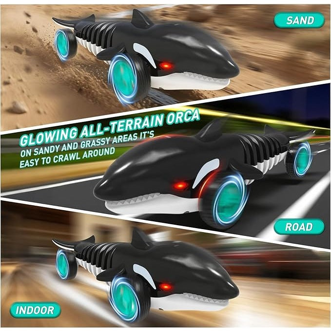 KILLER WHALE REMOTE CONTROLLED
