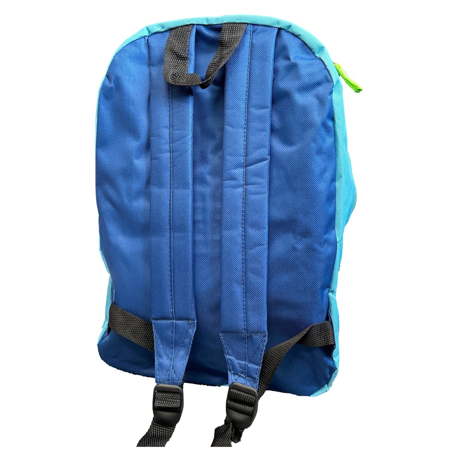 Back view of blue backpack.
