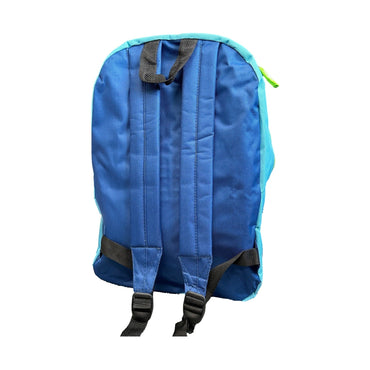 Back view of blue backpack.