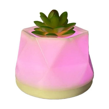 LED COLOR-CHANGING SUCCULENT AROMA DIFFUSER