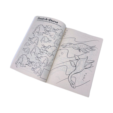 DINOSAURS COLORING BOOK ASSORTED