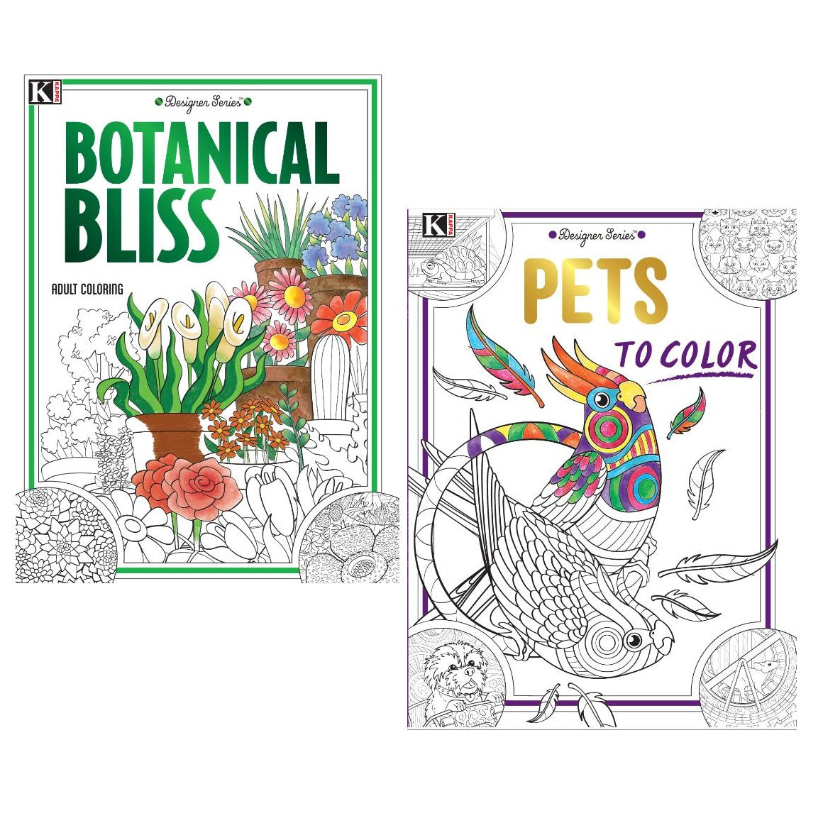 DESIGNER SERIES COLORING BOOK ASSORTED