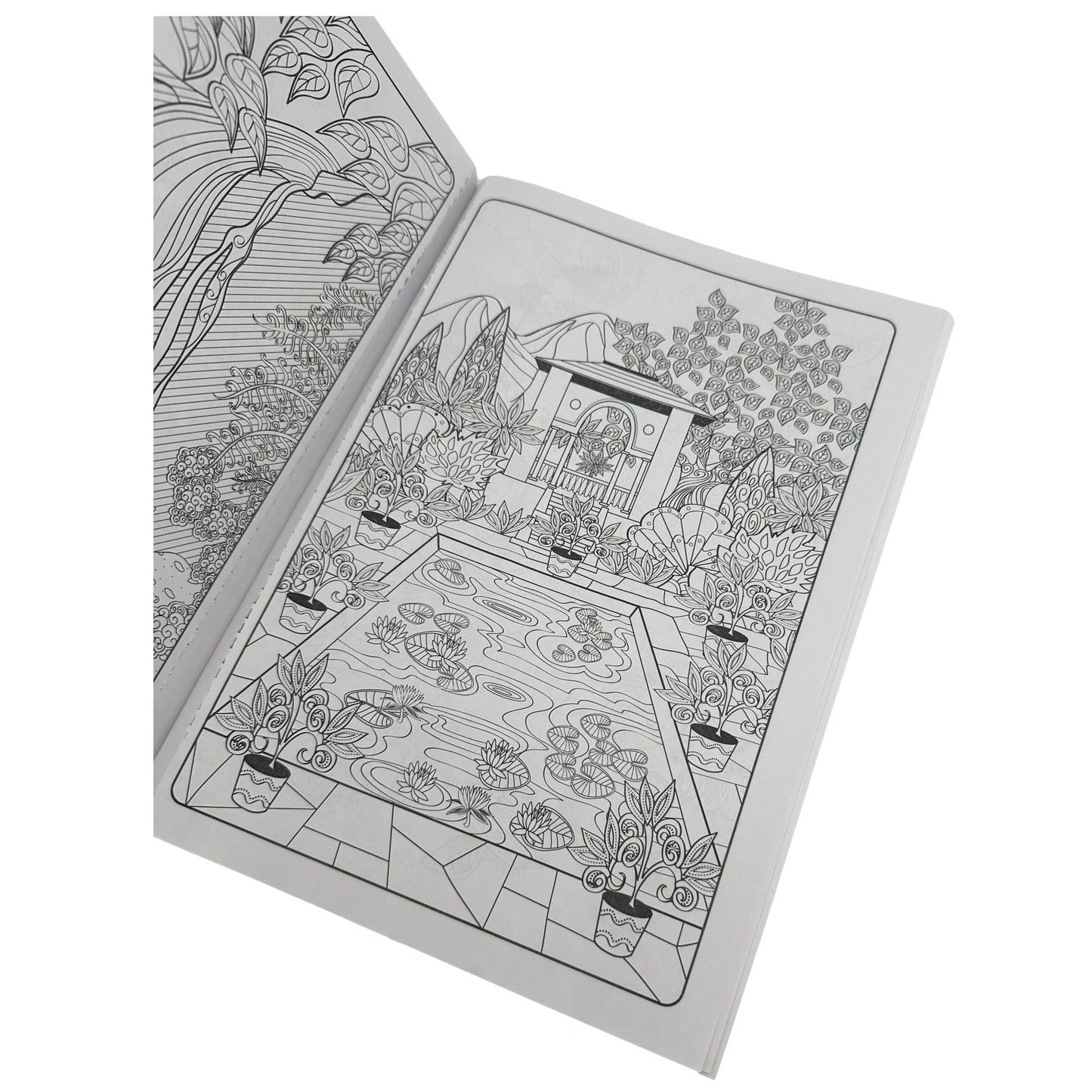 DESIGNER SERIES COLORING BOOK ASSORTED
