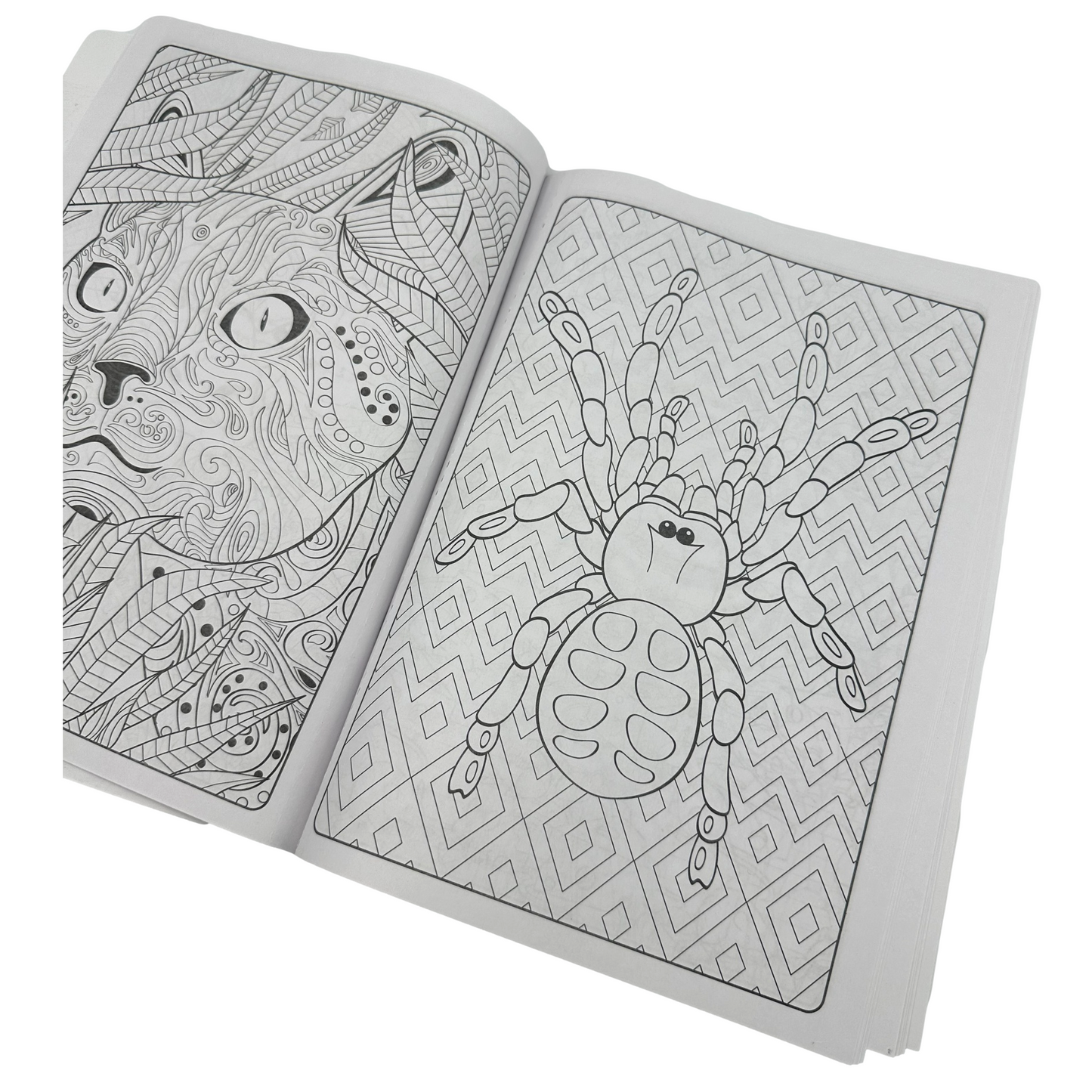 DESIGNER SERIES 2 COLORING BOOK ASSORTED