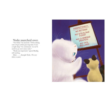 YODA CONSIGUE UN AMIGO - LIBRO DE CUENTOS DE TAPA DURA