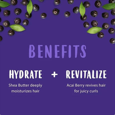 Overhead shot of purple background with scattered berries and leaves, and the words "Benefits", "Hydrate", and "Revitalize".