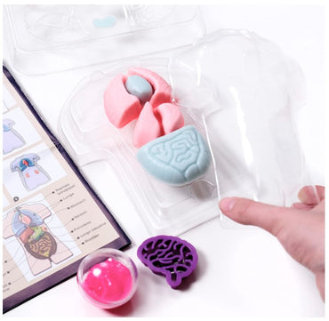 MAKE YOUR OWN SQUISHY HUMAN BODY STEM KIT