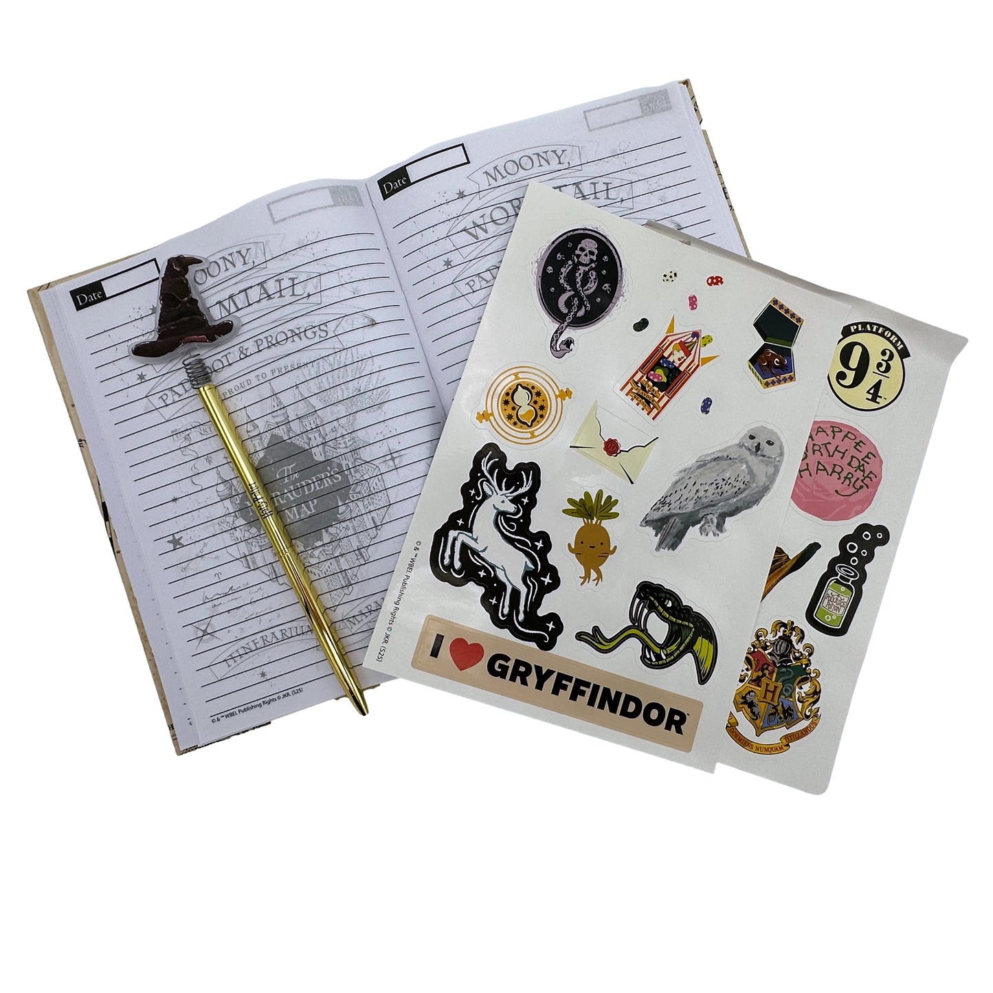 HARRY POTTER LIGHT UP DIARY SET