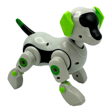 BUILD YOUR OWN ROBO ROVER KIT