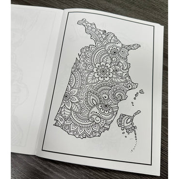 AMERICA ADVANCED COLORING BOOK