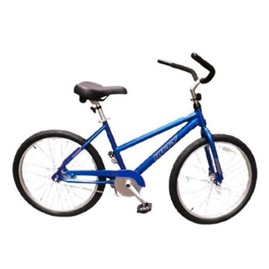 20 IN BLUE COASTAL BIKE