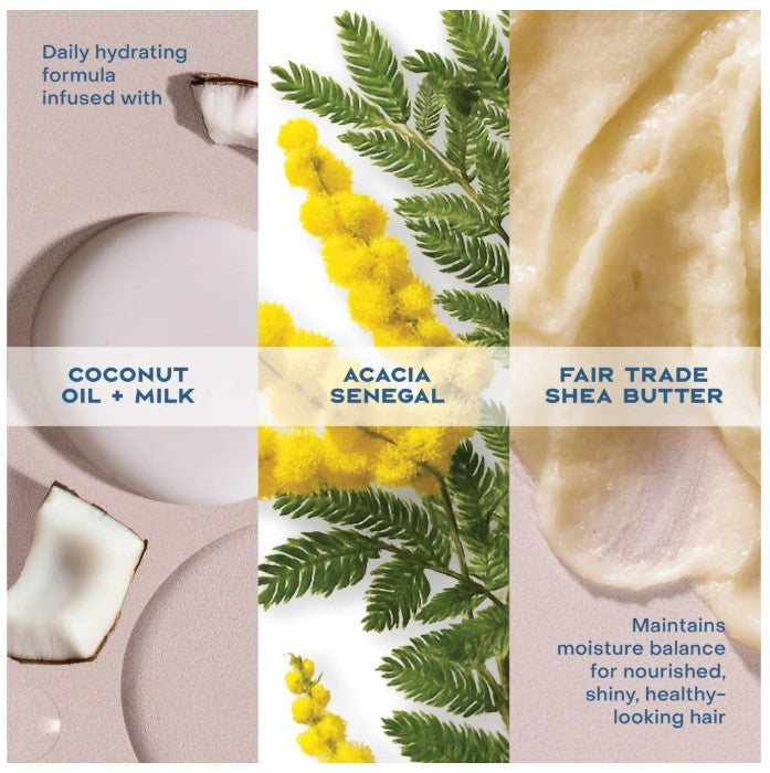 CHAMPÚ DE HIDRATACIÓN DIARIA DE 3.2 OZ ACEITE DE COCO 100% VIRGEN