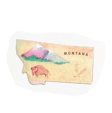 MAGNETIC USA MAP PUZZLE