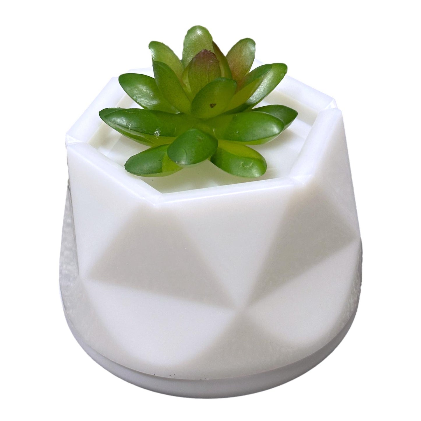 LED COLOR-CHANGING SUCCULENT AROMA DIFFUSER