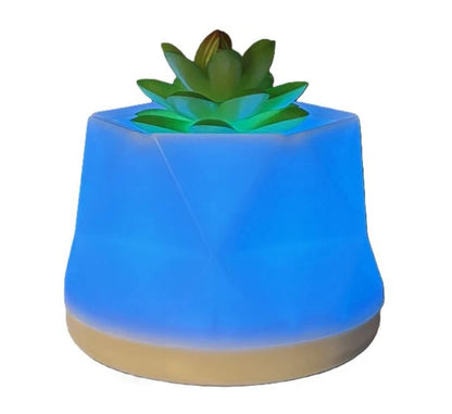LED COLOR-CHANGING SUCCULENT AROMA DIFFUSER