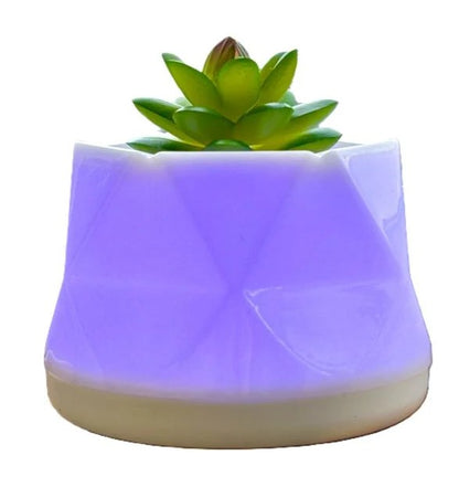 LED COLOR-CHANGING SUCCULENT AROMA DIFFUSER