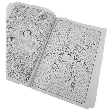 DESIGNER SERIES 2 COLORING BOOK ASSORTED