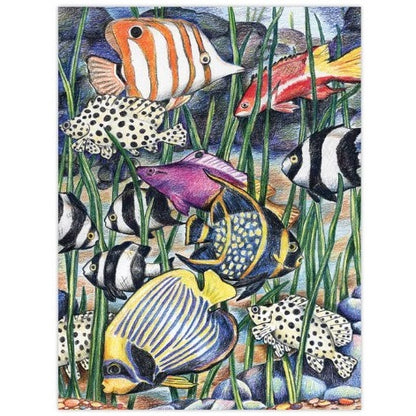 Illustration of various colorful tropical fish among seaweed and rocks.