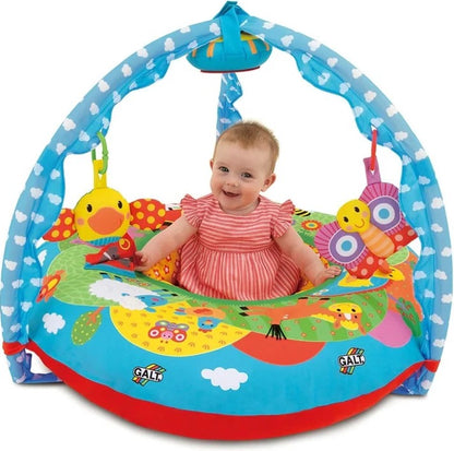 PLAYNEST AND GYM
