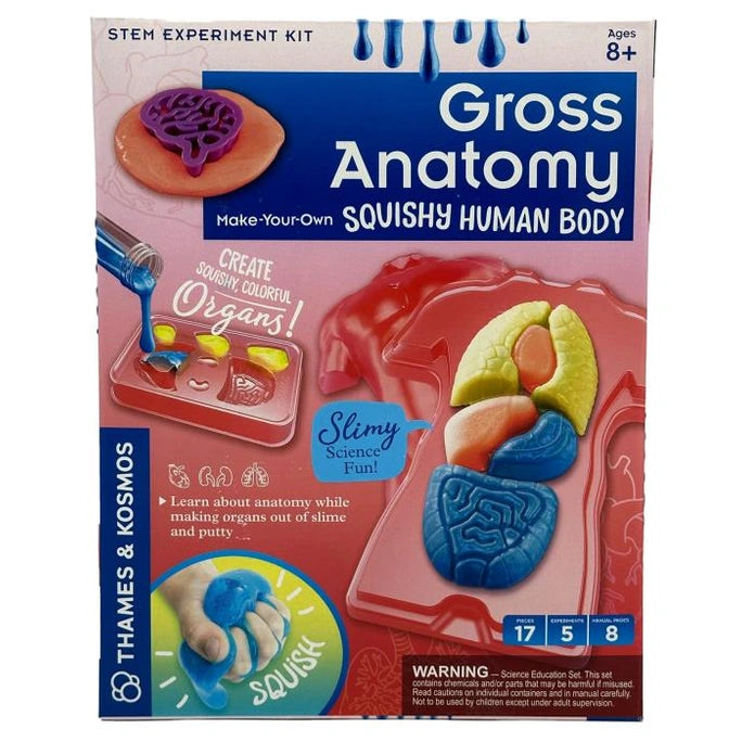 MAKE YOUR OWN SQUISHY HUMAN BODY STEM KIT