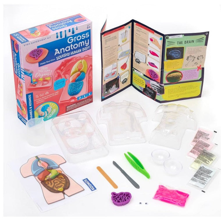 MAKE YOUR OWN SQUISHY HUMAN BODY STEM KIT