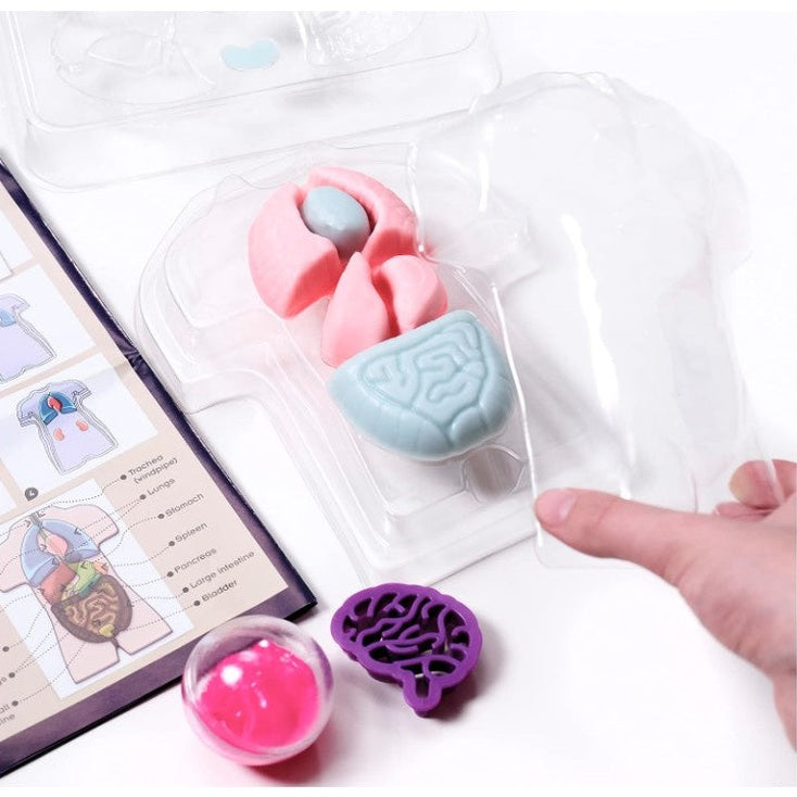 MAKE YOUR OWN SQUISHY HUMAN BODY STEM KIT