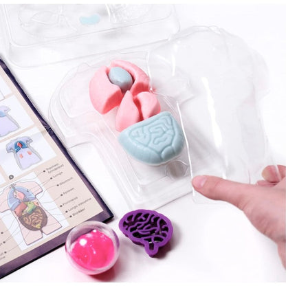 MAKE YOUR OWN SQUISHY HUMAN BODY STEM KIT