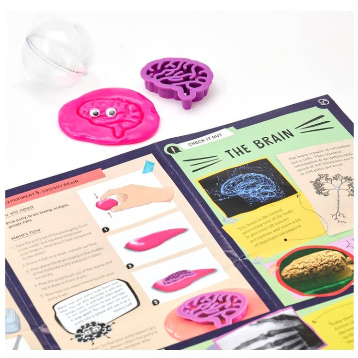 MAKE YOUR OWN SQUISHY HUMAN BODY STEM KIT