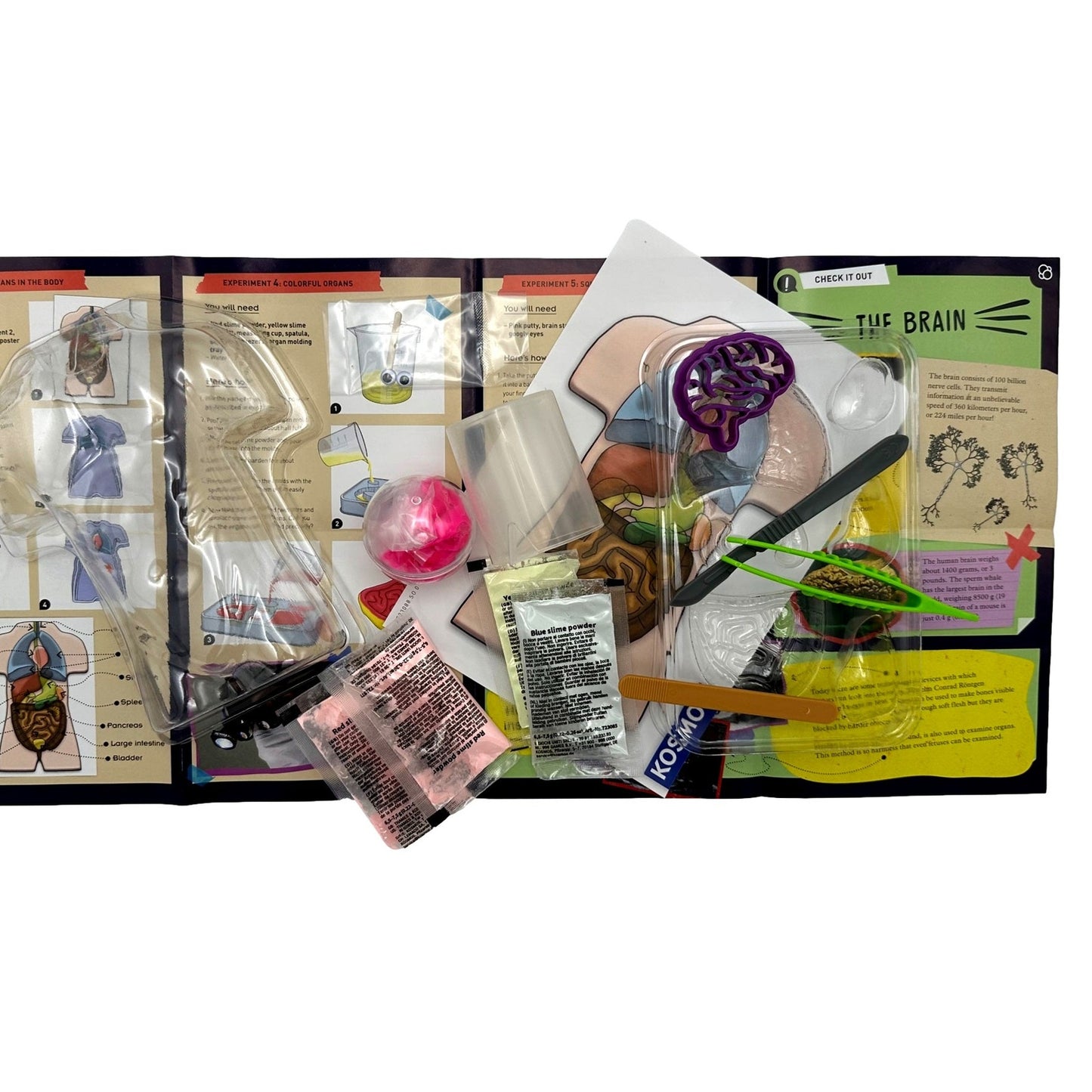 MAKE YOUR OWN SQUISHY HUMAN BODY STEM KIT