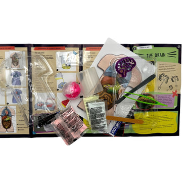 MAKE YOUR OWN SQUISHY HUMAN BODY STEM KIT
