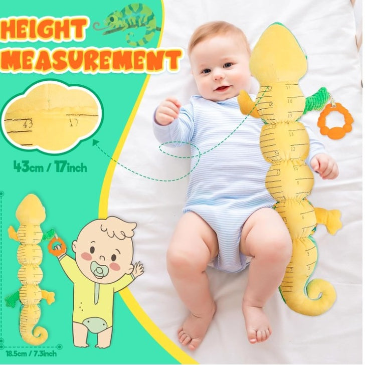 MUSICAL & COLORFUL CHAMELEON HEIGHT CHART