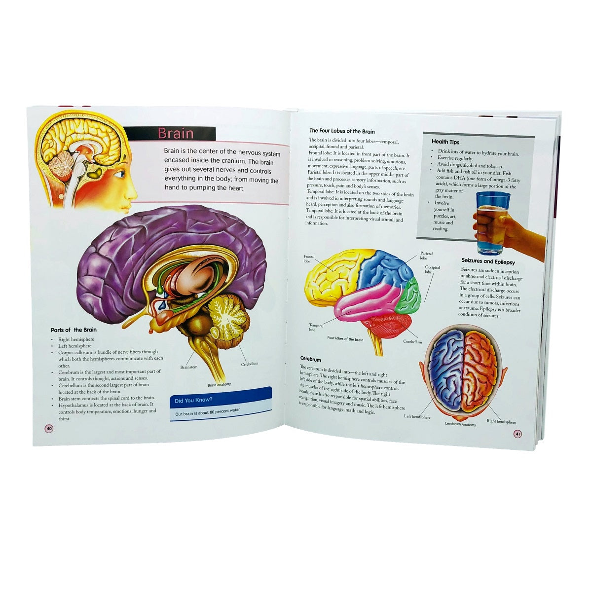 ENCICLOPEDIA INFANTIL CUERPO HUMANO