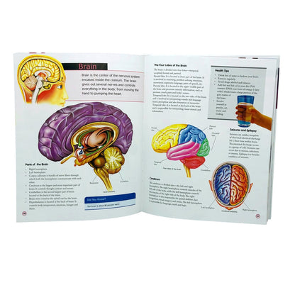 ENCICLOPEDIA INFANTIL CUERPO HUMANO