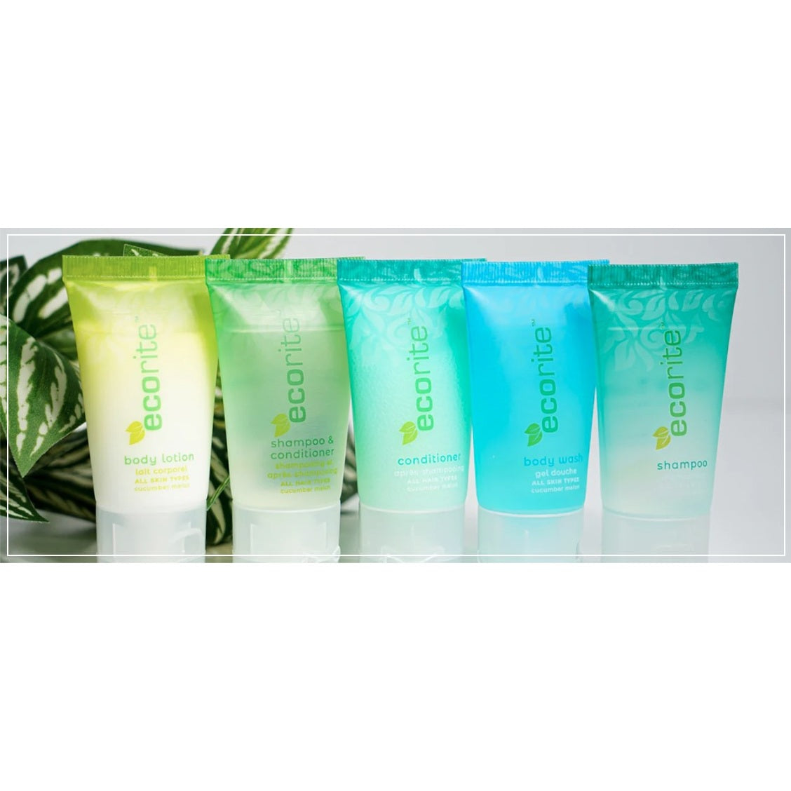 Champú y acondicionador 2 en 1 Ecorite de 1 oz